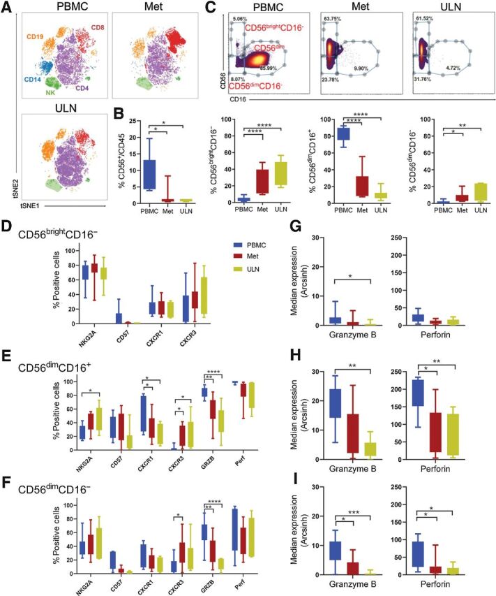 Figure 1. NK cells infiltrating metastatic melanoma are mostly immature CD56bright and less frequently mature CD56dim NK cells that exhibit reduced cytotoxic molecules. A, Representative example of a viSNE map showing the distribution of main immune subsets in PBMC, metastatic (Met), and ULN from a patient with advanced melanoma. B, Percent of NK cells (CD56+CD3−) within CD45+ cells. C, Three NK-cell subsets were identified based on CD56 and CD16 expression: CD56bright, CD56dimCD16+, and CD56dimCD16− and their frequency within total NK cells is shown. D, NK cells were analyzed for the expression of NK cell–associated markers using mass cytometry (see Supplementary Table S2). D–F, Maturation markers (NKG2A, CD57), chemokine receptors (CXCR1, CXCR3) and function-related molecules (GRZB, Perf) in CD56bright, CD56dimCD16+ and CD56dimCD16− assessed by mass cytometry. G–I, Median of GzmB and perforin expression in NK cells from the three tissue sources. Box and Whiskers plots show interquartile range with min and max values. Two-way ANOVA test, mixed effects model with Tukey post hoc test. *, P < 0.05; **, P < 0.01; ***, P < 0.001; ****, P < 0.0001. n = 11 PBMC, n = 11 Met, n = 7 ULN.