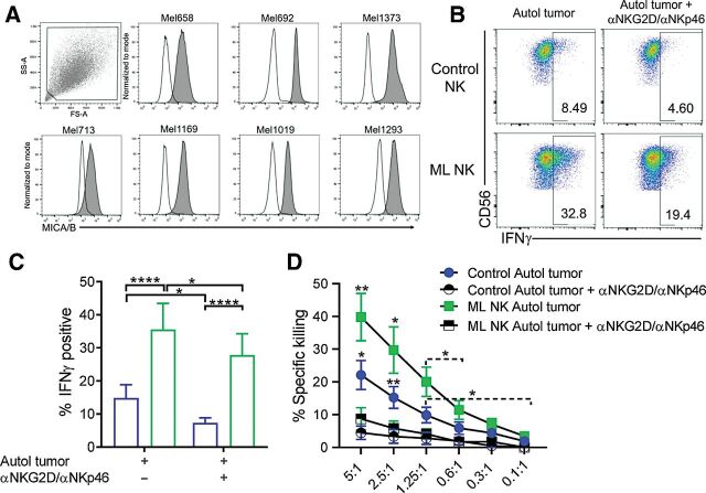 Figure 4. Enhanced ML responses are partially dependent on NKG2D and NKp46. A, Expression of the NKG2D ligand MICA/B in primary tumors. Patient-derived control and ML NK cells were stimulated for 6 hours with autologous tumor with or without αNKG2D (2.5 μg/mL) plus αNKp46 (2.5 μg/mL) blocking antibodies and the frequency of IFNγ was evaluated by flow cytometry. Representative flow cytometry dot plots (B) and summary data (C) showing reduction in IFNγ production by control and ML NK cells after NKG2D and NKp46 blockade. D, Patient-derived control and ML NK cells were stimulated in the presence of autologous tumor with or without blocking antibodies and specific killing was measured by 51Cr release assay. Bars represent mean ± SEM from all patients. Two-way ANOVA and paired t test *, P < 0.05; **, P < 0.01; ***, P < 0.001; ****, P < 0.0001. n = 7.