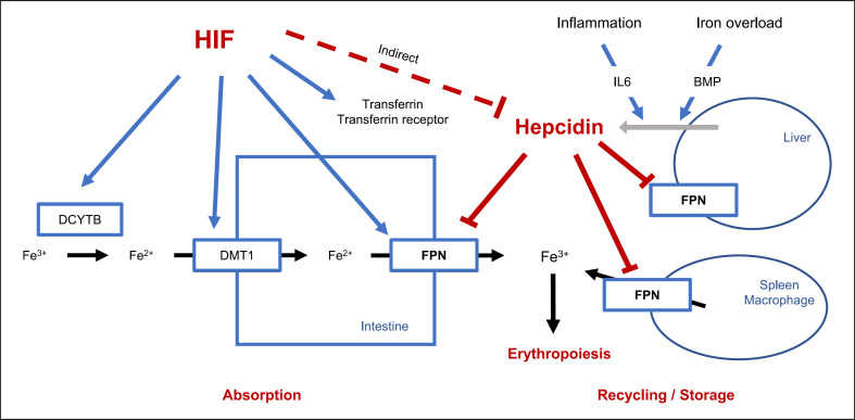 Fig. 2