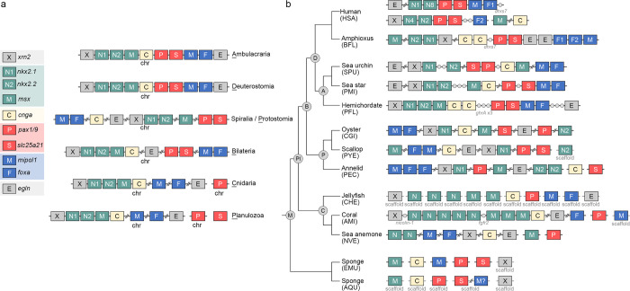 Fig 6