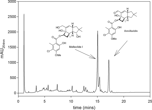 FIGURE 2.