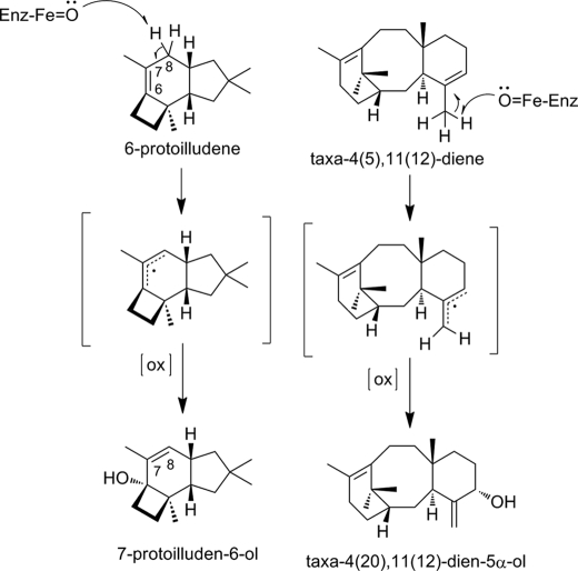 FIGURE 7.