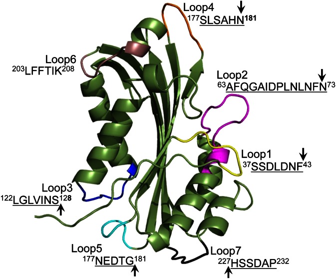 Fig. 3.