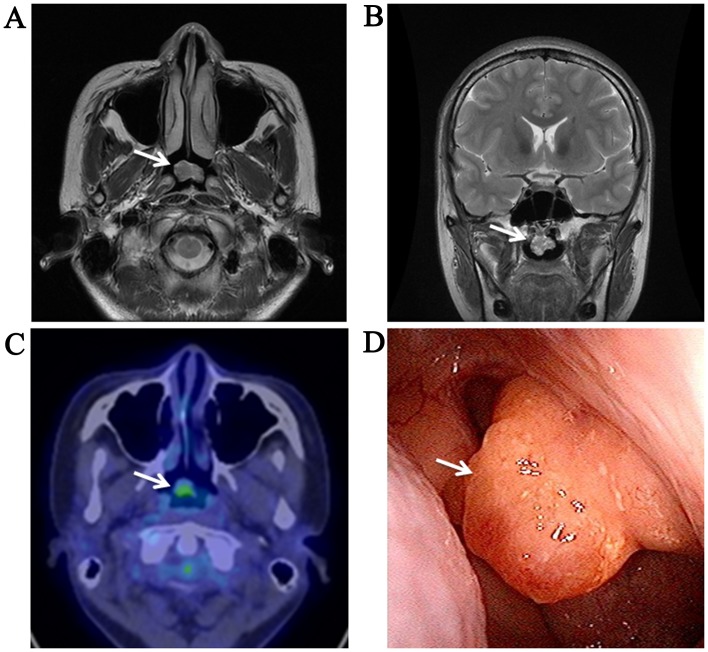 Figure 1.