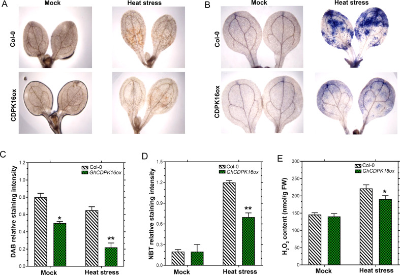 Fig. 10