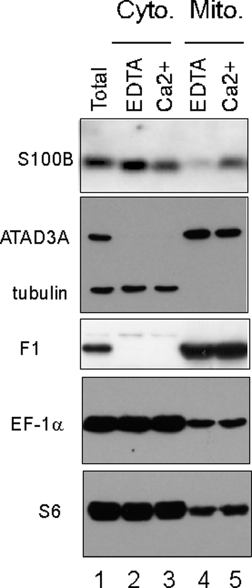 FIG. 9.