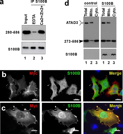 FIG. 8.