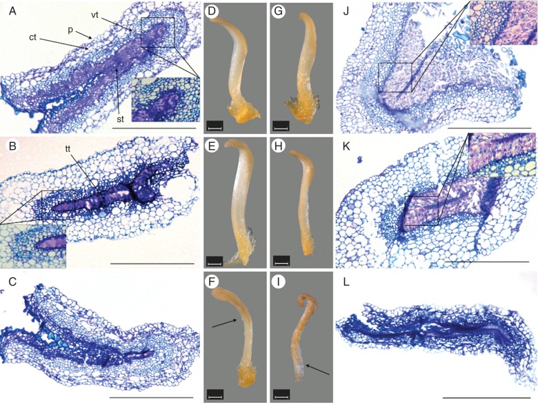 Fig. 1.