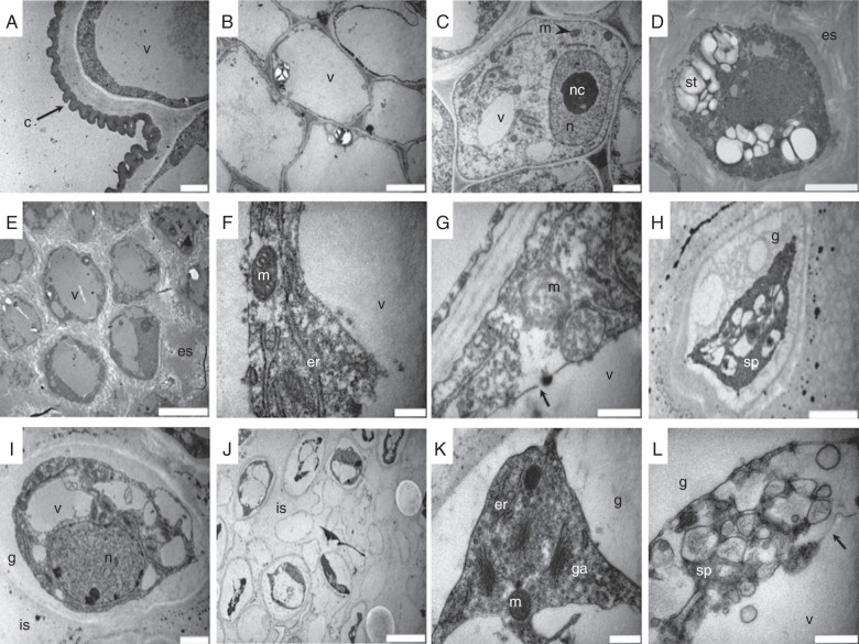 Fig. 2.