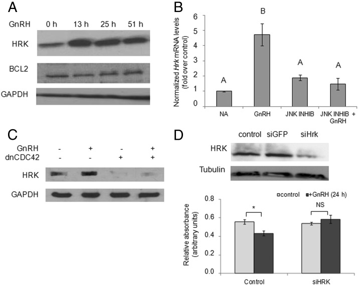 Figure 6.