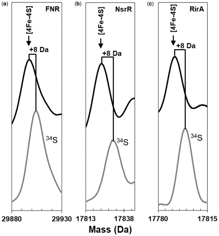 Figure 3: