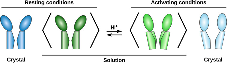 Fig. 5.