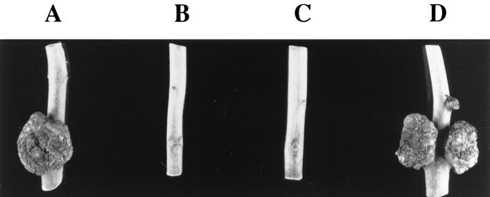 FIG. 7