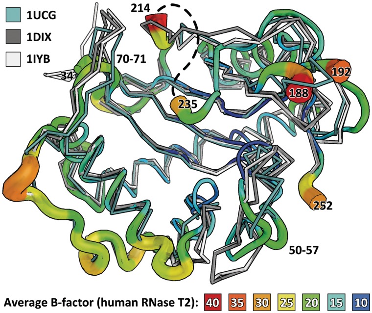 Figure 5.