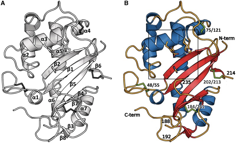 Figure 2.