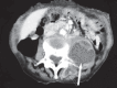 Figure 2)