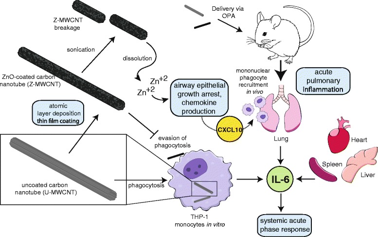 Fig. 10