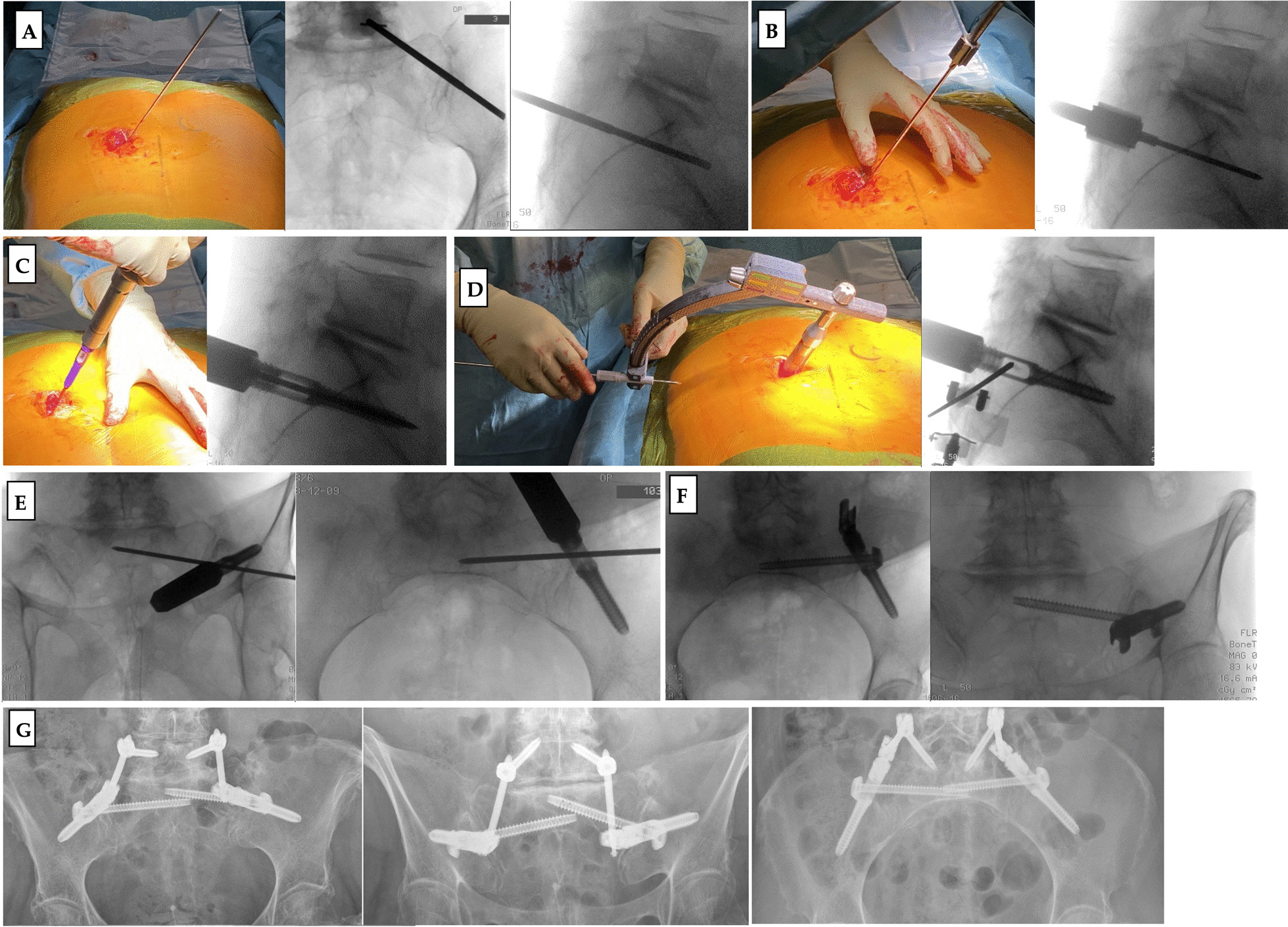 Fig. 8