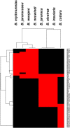 Fig. 12.