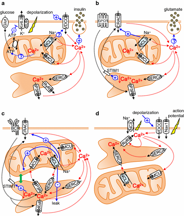 Fig. 4