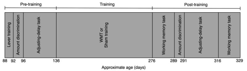 Fig.1