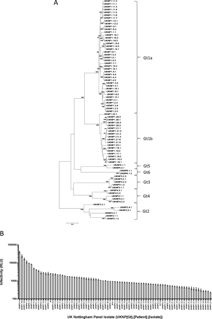 FIG 1