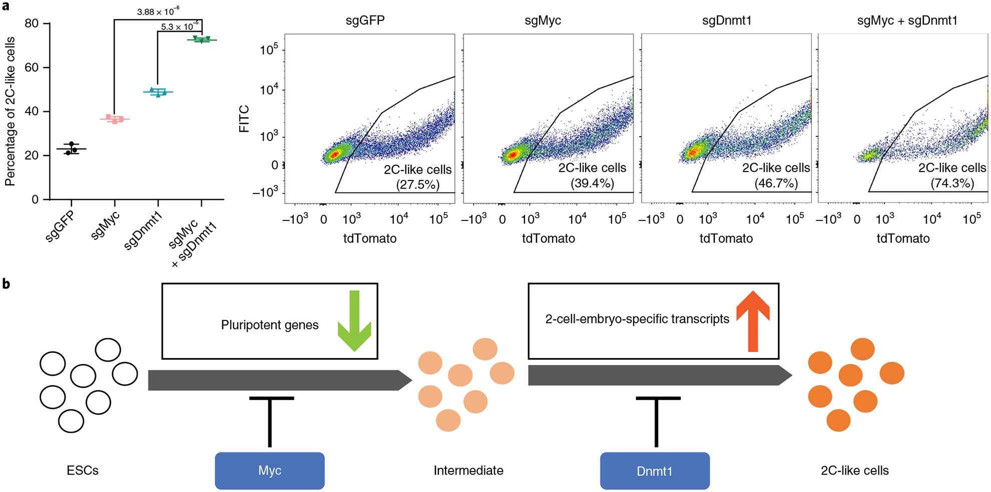 Fig. 6 |