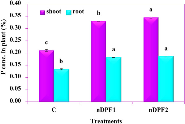 Fig. 12