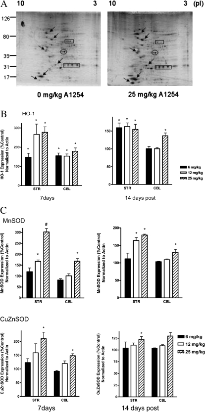 FIG. 7.