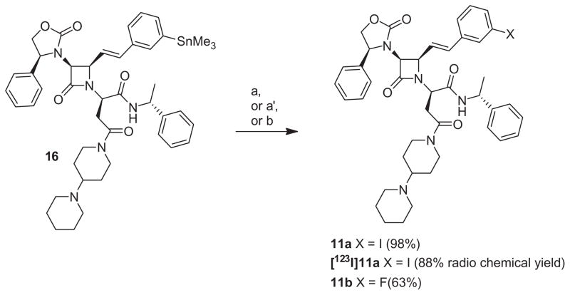 Scheme 4