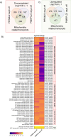 Fig 7