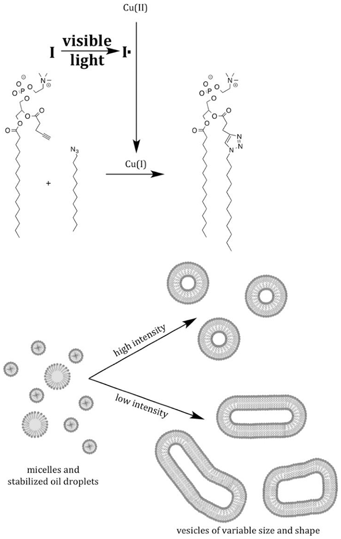 Figure 73.