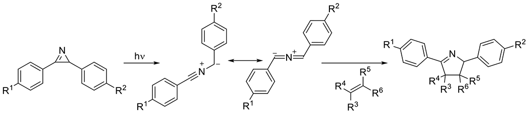 Figure 31.