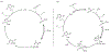 Figure 14.