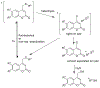 Figure 61.