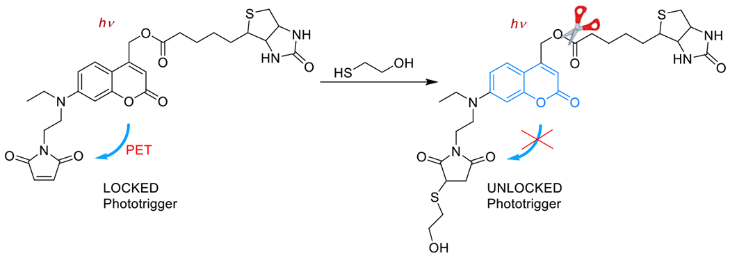 Figure 62.