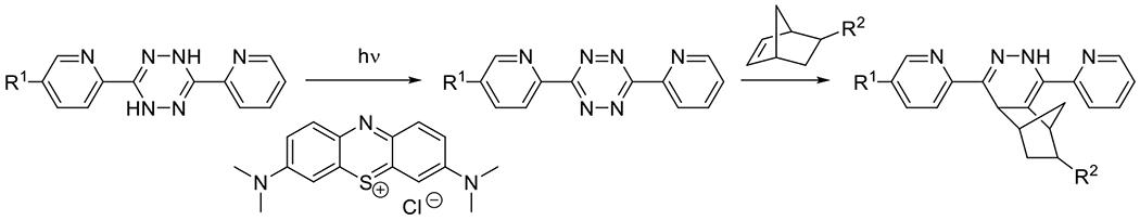 Figure 40.