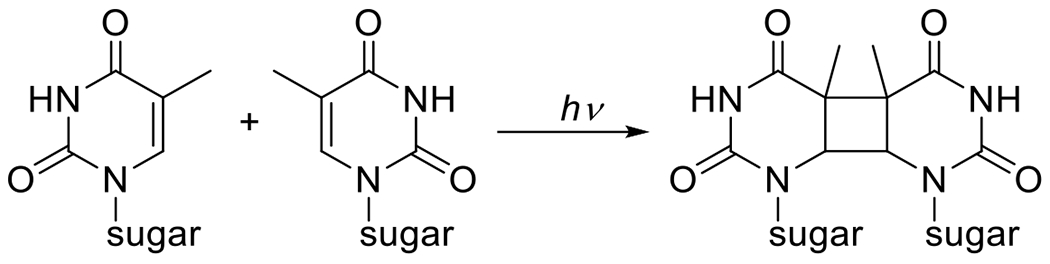 Figure 8.