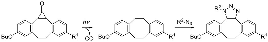 Figure 20.