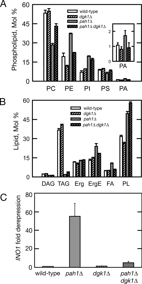 FIGURE 4.