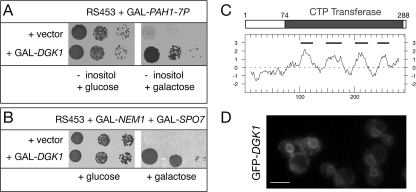 FIGURE 2.