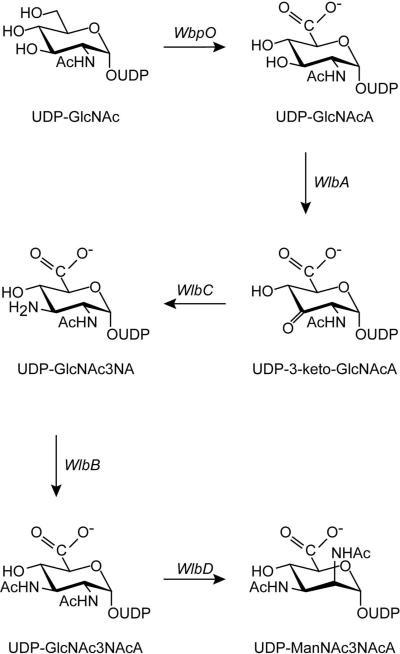 Scheme 2