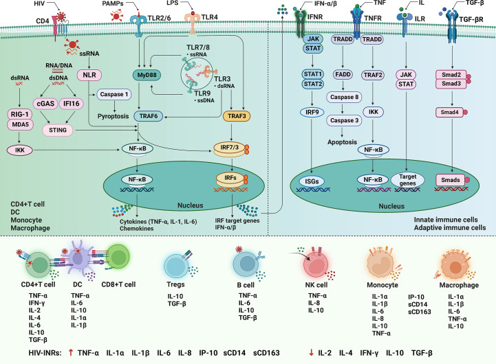 Figure 3