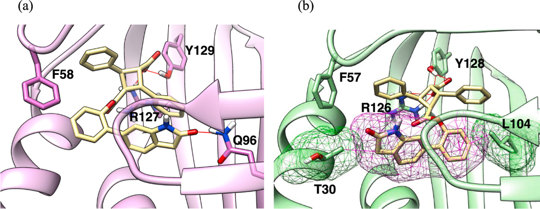 Fig. 10.