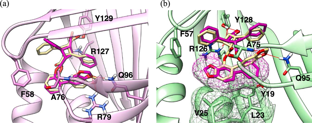 Fig. 11.