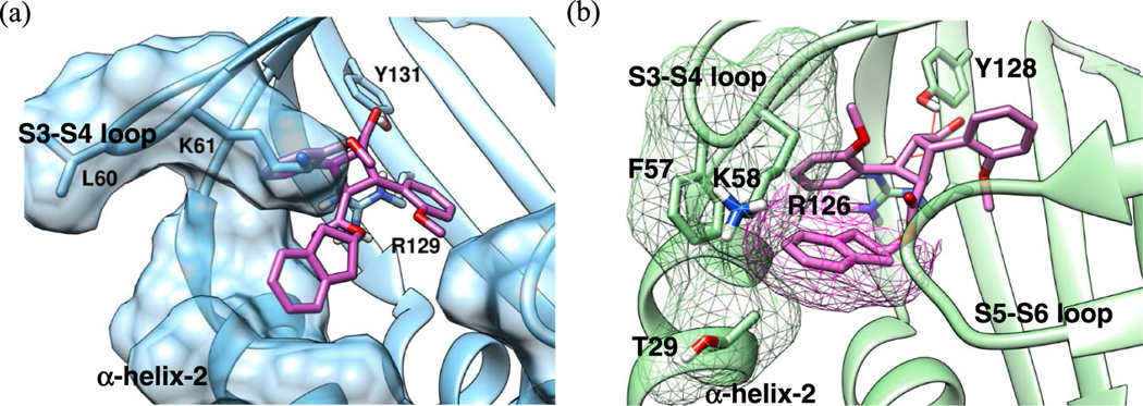 Fig. 8.