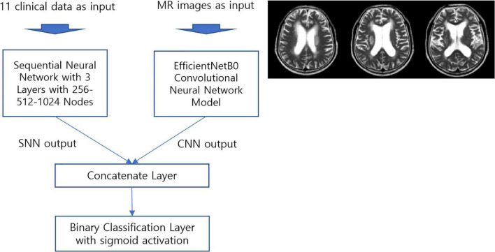 FIGURE 1