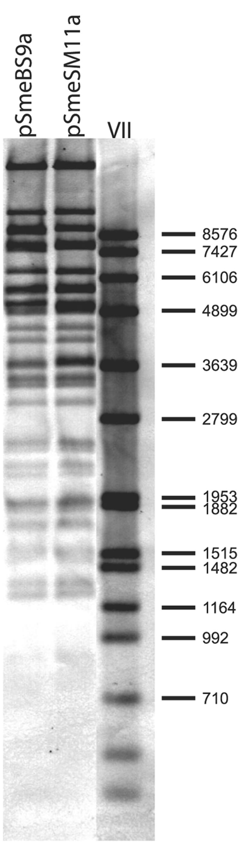 FIG. 6.