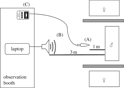 Figure 1.