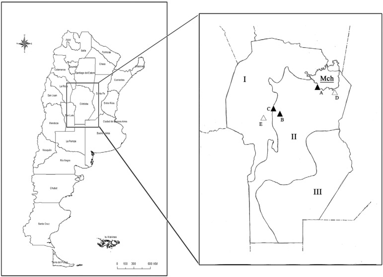 Sampling locations in the province of Córdoba, Argentina (left square:
Argentina; right square: province of Córdoba). A: La Para; B: city of Córdoba; C:
Unquillo; D: Altos de Chipión; E: Las Jarillas; I: dry Chaco; II: Espinal; III:
Pampa; MCh: Mar Chiquita Lagoon; open triangles: historical capture sites
2004-2007 (already published); solid triangles: new captures sites
2012-2015.